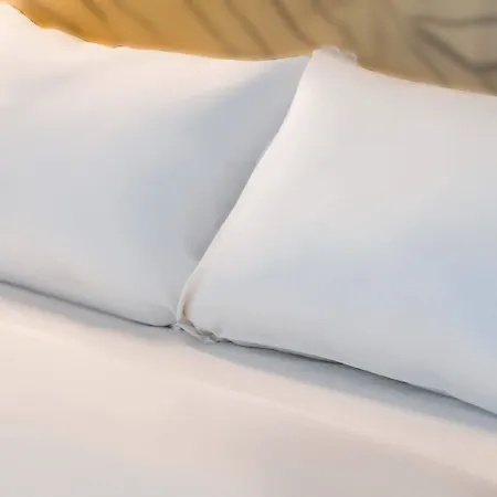 Lille D'ascq De Hotel 3*