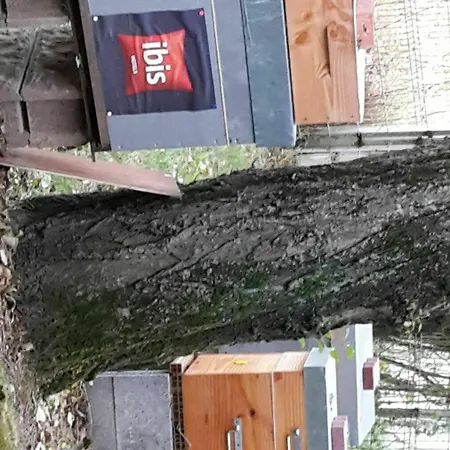 Lille D'ascq De Hotel